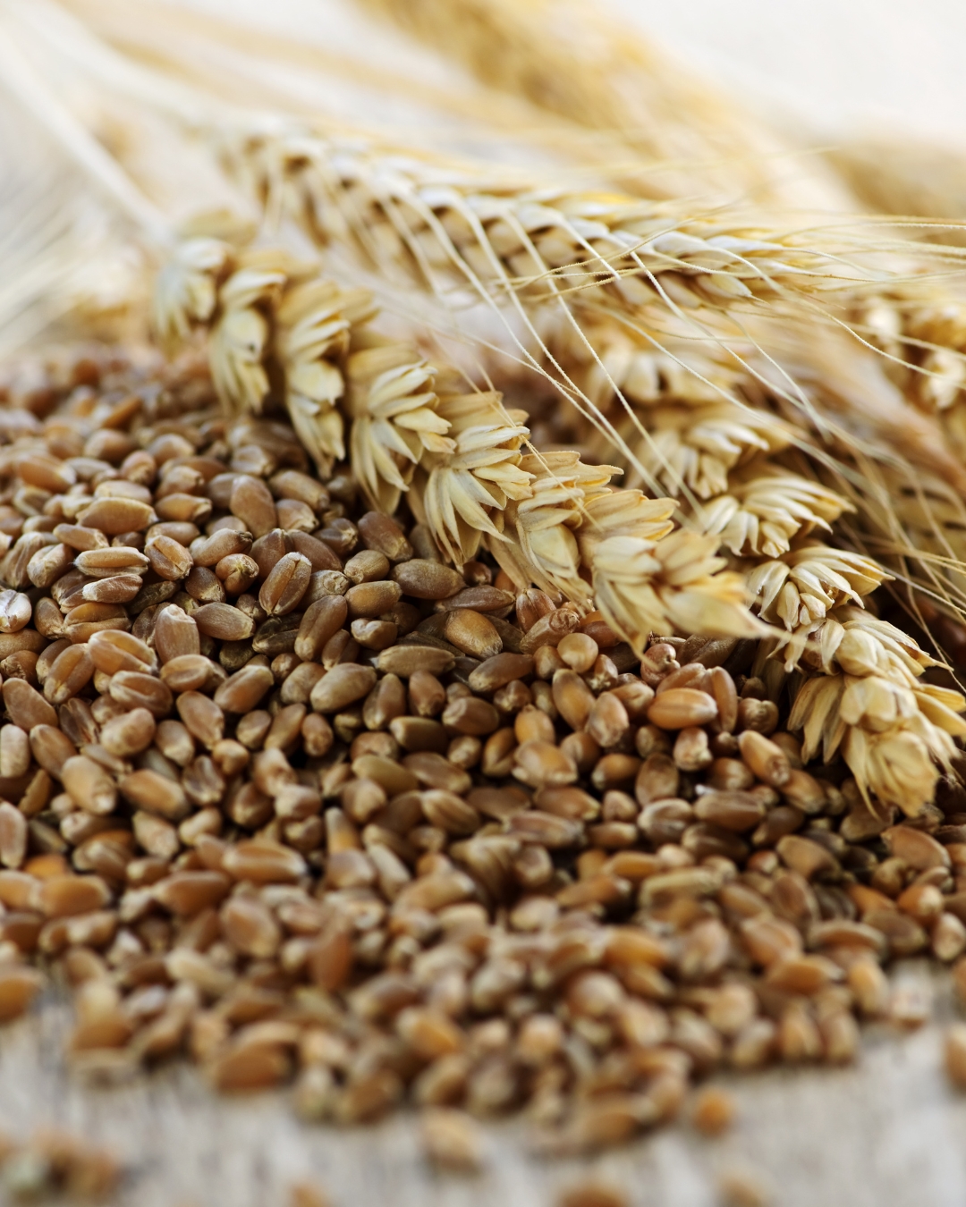 NextDoor Organic foods (product)